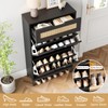 Jocoevol Rattan Shoe Cabinet Storage for Entryway with 2 Flip