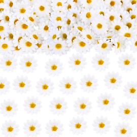 Keaziu 20 piezas de margaritas para cupcakes con diseño de margaritas, diseño de flores, primavera, cumpleaños, boda, novia, baby shower, suministros de decoración para fiestas de cumpleaños, color blanco