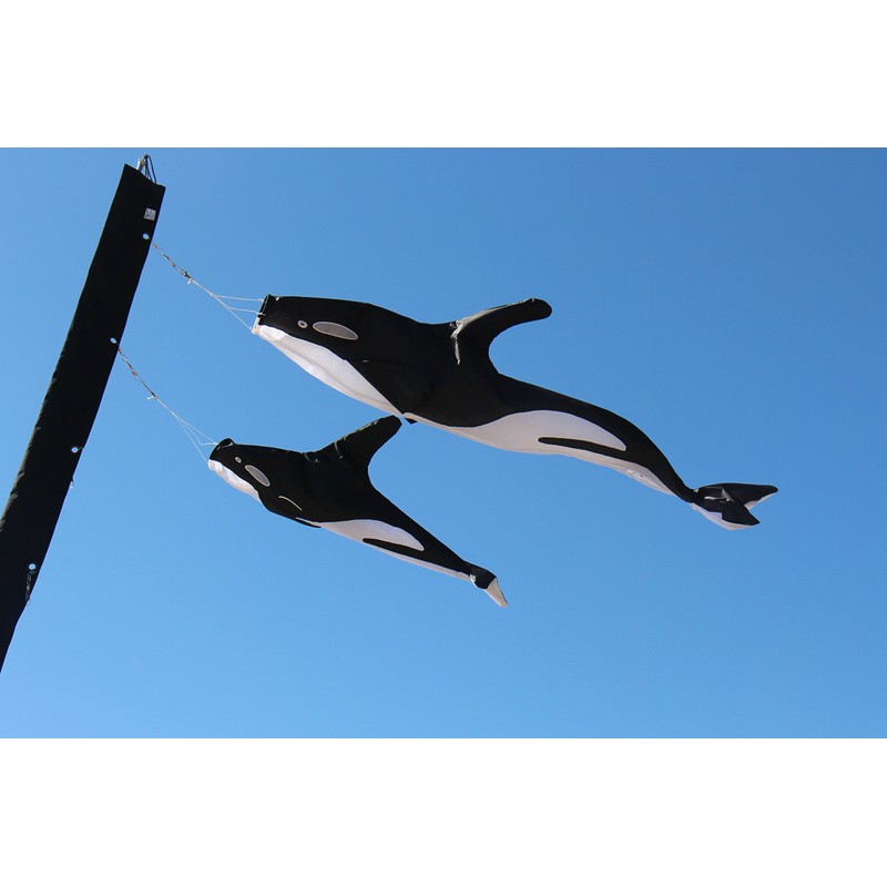 In the Breeze Orca 3D Windsock, 54"