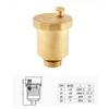 POWERTOOL Automatic Air Valve, 1pcs Brass Air Vent Valve Quick