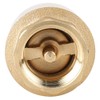 Check Valve, Brass, Air, Water, Oil, Check Valve (G1/2)