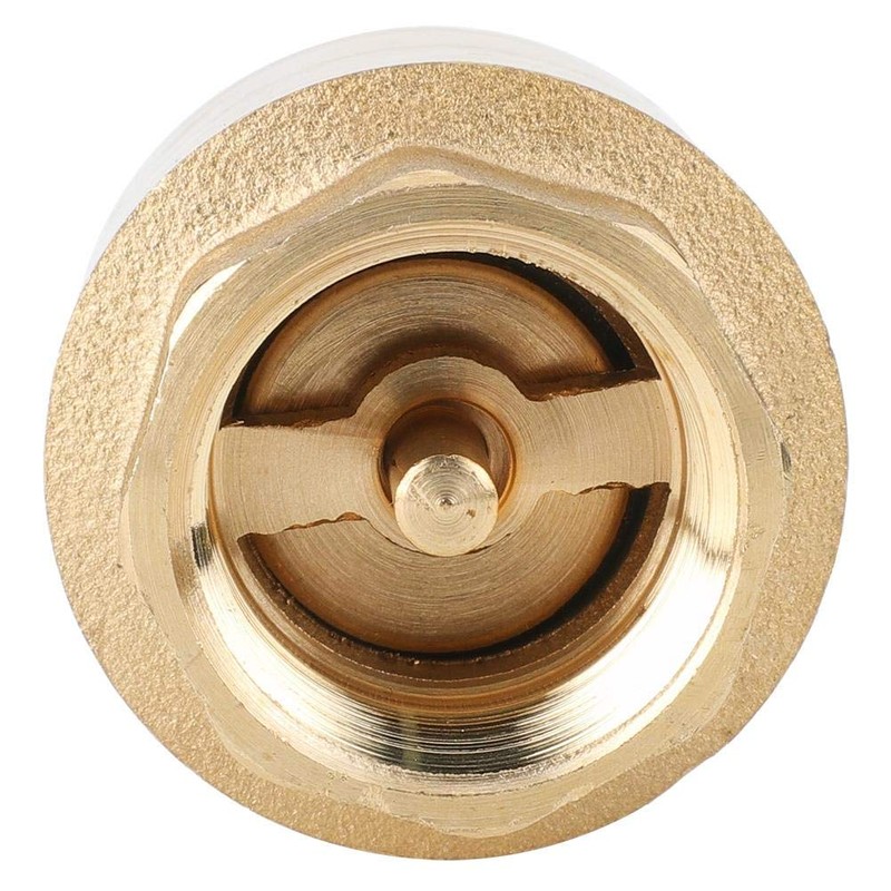 Check Valve, Brass, Air, Water, Oil, Check Valve (G1/2)