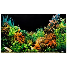 Gex GX-11 Back Screen for 23.6 inches (60 cm) Aquarium (Black with Photo) x 5 Pieces