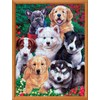 MasterPieces 300 Piece EZ Grip Jigsaw Puzzle - Fluffy Fuzzballs
