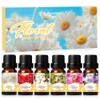 SALKING Flower Essential Oil Set 2