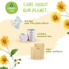 Organic Chamomile Tea Bags 50 Teabags Pack by The Natural