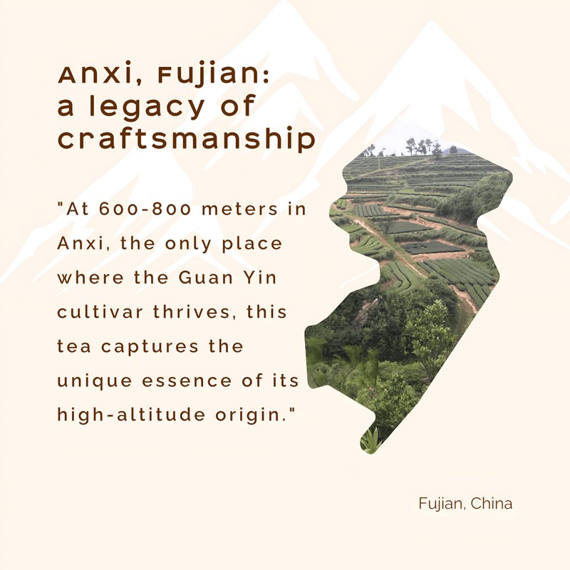 Woocup Hairy Crab Oolong Loose Leaf Tea (2 oz) -