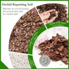 Orchid Bark Potting Mix,Premium Orchid Potting Mixture of Pine Bark