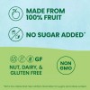 GoGo squeeZ Organic Fruit Snacks Pack of 12 Squeeze Pouches
