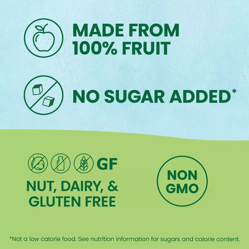 GoGo squeeZ Organic Fruit Snacks Pack of 12 Squeeze Pouches