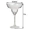 Lily's Home Unbreakable Acrylic Margarita Glasses, Made of Shatterproof Plastic