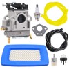 Aylux PB-770T Carburetor with Air Filter Tune up Kits for