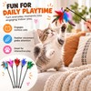 5-Piece Cat Feather Wand Toy Set for Interactive Play –