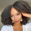 Afro Kinky Curly Human Hair Wig 13x4 HD Lace Front