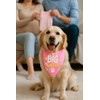 Big Sister Dog Bandana with Snap Button - Pink Silky
