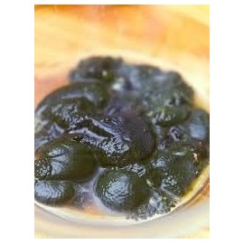 Organic Raw Green Lobster Roe, Fresh, 1 lb Pack, Gourmet Seafood Ingredient, Rich and Creamy Texture, Perfect for Luxurious Sauces and Seafood Dishes, Pure and Organic, Ideal for Professional Chefs