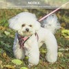 Dog Harness and Leash Set, Dog Harness for Dogs No