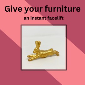 Old Gold Antique Gold Vintage Gold Cabinet Door Handles Iron Handmade Metal Animal Cupboard Door Knobs, Drawer Pulls (10. Running Rabbit)