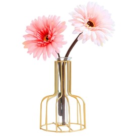 Table Flower Vase,Gold Geometric Metal Frame Clear Glass Tube Bud Vase Hydroponic Plants,Gold Vase Decorative for Flower,Weddings,Centerpiece,Party,Home(gold 7)