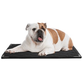 BALAPET XS Durable Chew Proof Dog Bed with Metal Rivet Corner, 23"x17"