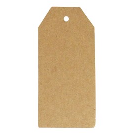 Wrapables 20 Gift Tags/Kraft Hang Tags with Free Cut Strings for Gifts, Crafts & Price Tags - Original Tag