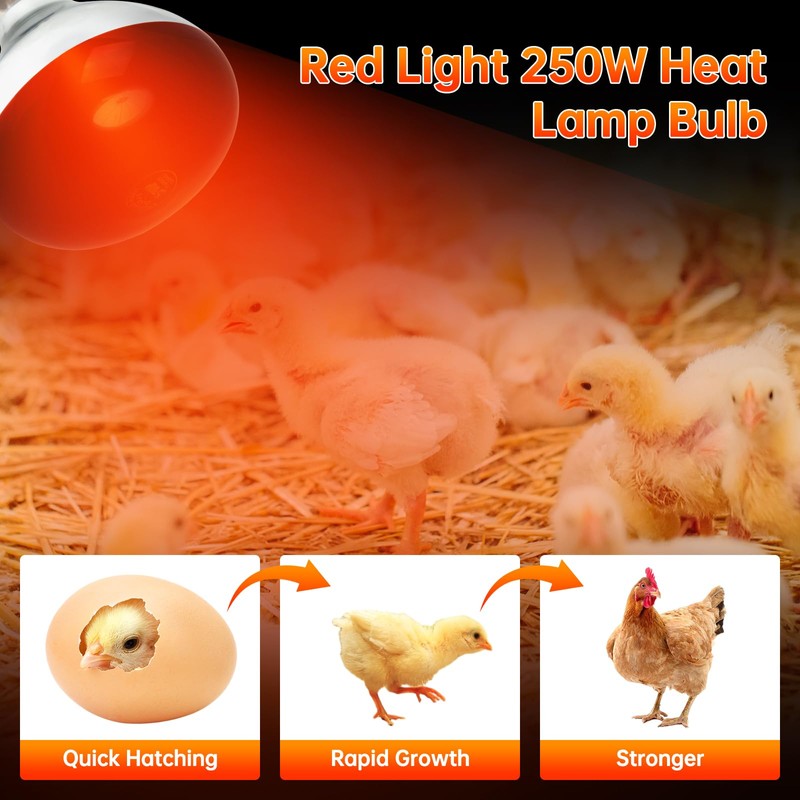 LUCKY HERP Heat Lamp for Chickens, 250 Watt Red Heat