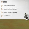 CC Concrete Coatings Vivid Acid Stain for Concrete | Olive