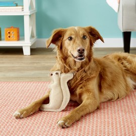 SPOT Dura-Fused Leather Squirrel Dog Toy – Real Leather & Jute Fabric, Double-Stitched & Durable, Soft Stuffed Squeaky Interactive Chew Toy for Moderate Chewers, Small & Medium Dogs, 8in