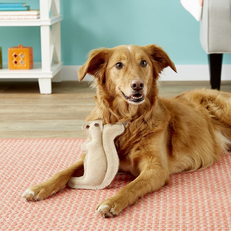 SPOT Dura-Fused Leather Squirrel Dog Toy – Real Leather &