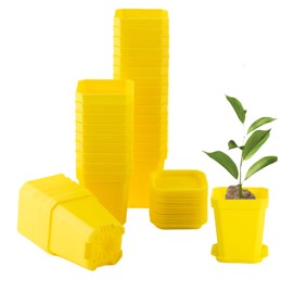 foxany 3" Plants Nursery Pot, 30 Pcs Thick Plastic Square Yellow Planting Pots, Plant Seedling Pots, Seed Starting Pots with Saucers - Yellow