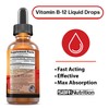 MAX Absorption, Vitamin B12 Sublingual Liquid Drops, 6000mcg Methylcobalamin Per