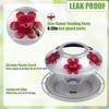BOLITE Hummingbird Feeder, Hand Blown Glass Hummingbird Feeders for Outdoors