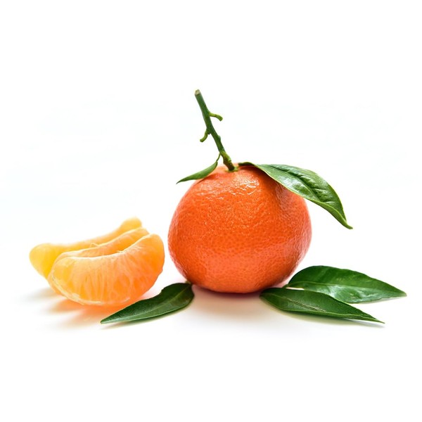 OliveNation Pure Tangerine Extract - 8 Ounce - Best Substitute Of orange Flavor - Made From The Finest Florida Tangerine Oil - Perfect To Use For Baking, Beverages And Ice Cream
