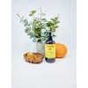 Naked Bee Orange Blossom Honey Hand and Body Lotion Pump