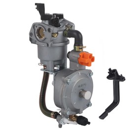 QANYEGN Generator Dual Fuel Carburetor, Lpg Ng Conversion Kit, Compatible with 2.8Kw Gx200 170F Manual Choke Coil