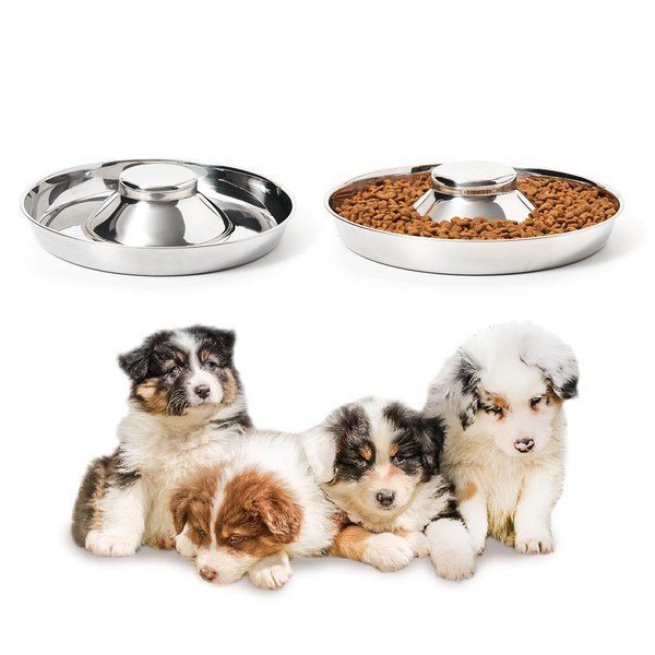 Thankspaw Stainless Steel Puppy Bowls, Set of 2 Puppy Feeder,