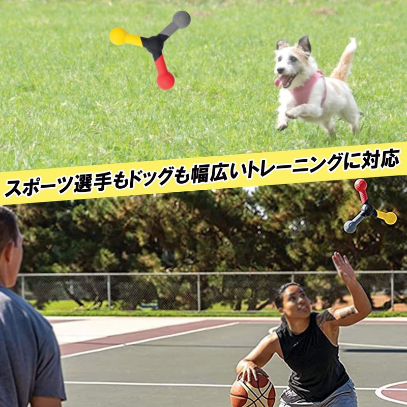 nijimomo Reaction Speed Training Rod Reflex Reactive Catch Coordination Training