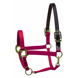 Perri's Premium Nylon Safety Halter, Horse, Red
