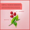 Wissotzky Raspberry Boost Black Tea (3 Pack - 60 Tea
