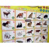 ZAOZHIHUI Children's Early Education Audible Sound Charts --Know Animals with