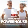 Juvenon Suplemento de óxido nítrico BloodFlow-7 con nitrosigina