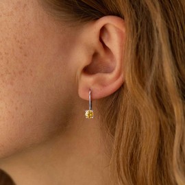 Blahanna Moissanite Earrings,1.0ct-2.0ct D Color Brilliant Round Cut Earrings Sterling Silver Dangle Earring Moissanite Leverback Drop birthstone9