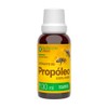 Extracto de Propóleo 30 ml N2000, Suplemento Alimenticio Líquido