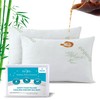 ForZzz Waterproof Bamboo Pillow Protector Cover (2 Pack, Green) 100%