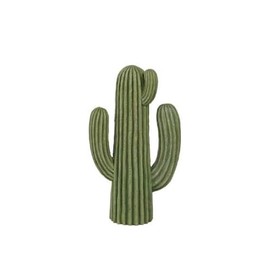 Dulton Object Cactus, Height 10.8 x Width 6.3 inches (275 x 160 mm), Style Type E CACTUS E K655-657E
