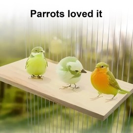35 x 20 cm Große Holz Plattform Vogelplattform Naturholz Haustierkletterplattform Holzständer Plattform für Haustiere Vogelkäfig Sitzstangen Quadratischer