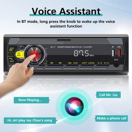 Single Din Car Stereo with Voice Assistant/Bluetooth 5.0/7 Color Button Lights/BT Hands Free Call/FM Radio/USB Fast Charging/TF SD Card Port/AUX-in, 1 Din Radio Player + Remote Control
