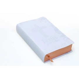 Biblia de Promesas Reina-Valera 1960 / Jesús para Todos / Letra Grande...12 pun