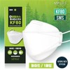M Plus KF80 Large Mask (1 Pack) Made in Korea / KFDA Certified / 엠플러스 KF80 대형 마스크 1매입 국내산/식약처인증