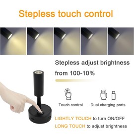 12V LED RV Reading Light with Dual Charging Ports, 3CCT Touch Control Dimmable RV Interior 12V Bedside Light Fixture Spotlight for Motor-House Camper Caravan Vehicle Vessel Boat Yacht (Black)